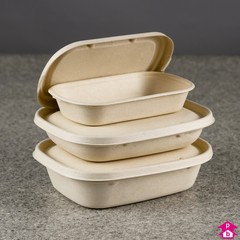 Bagasse Food Containers