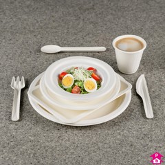 Bagasse Tableware