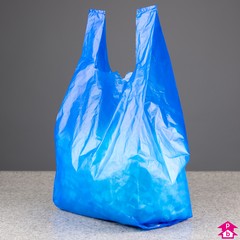 Blue Carrier Bag - Large - 11x17