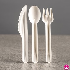 Takeaway Cutlery